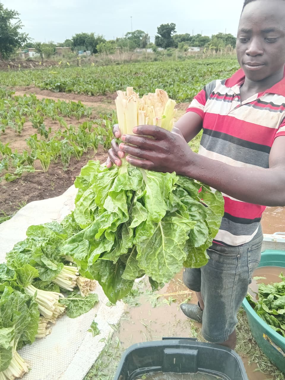 Marketplace & Outreach