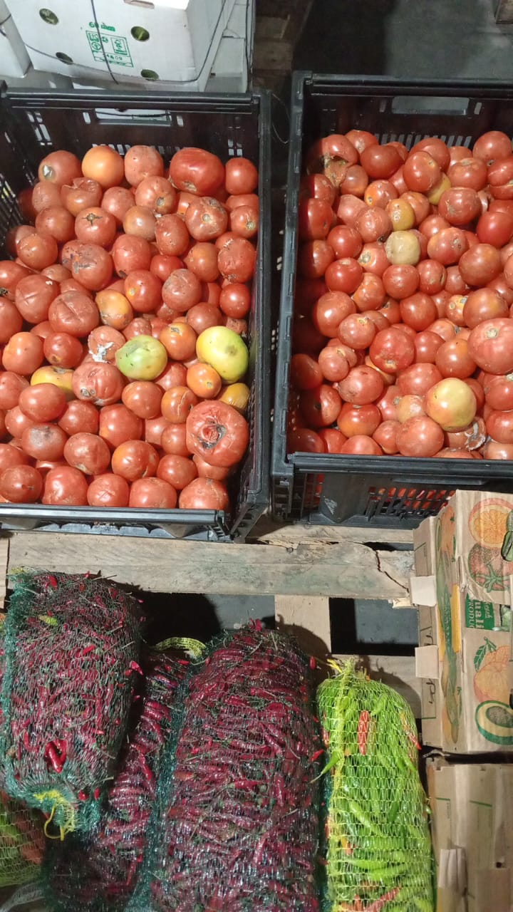 Ripe red tomatoes from our 3-hectare farm